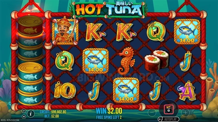 Player studying game strategies for phwin com poker and slot machines