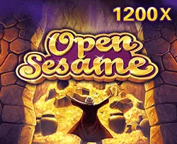 Live casino provider