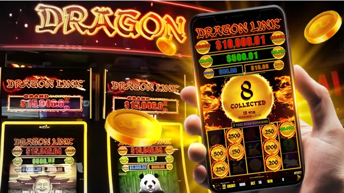 Live Roulette Wheel